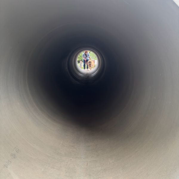 run