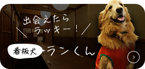 ラブラドールレトリバー