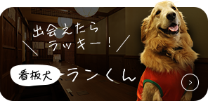 ラブラドールレトリバー